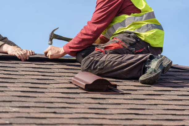 Best Roof Gutter Cleaning  in Crump, TN