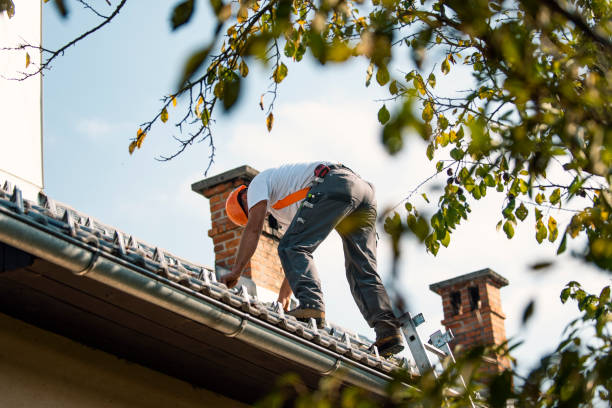 Best Roof Maintenance Services  in Crump, TN