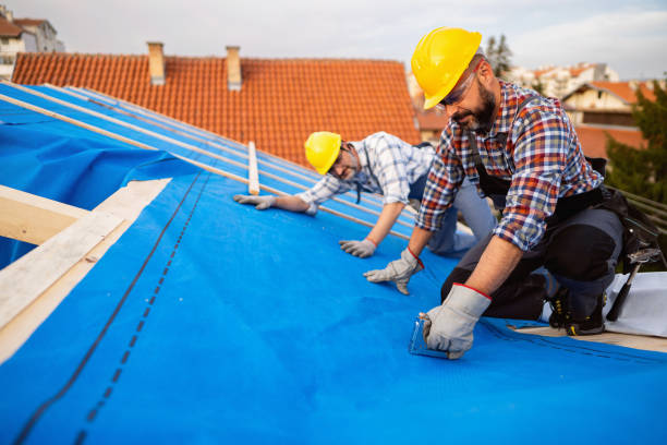 Best Storm Damage Roof Repair  in Crump, TN