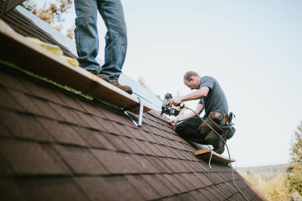 Best Commercial Roof Installation  in Crump, TN